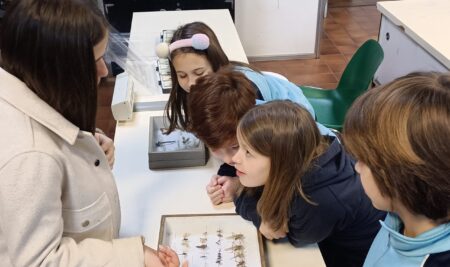 Aprendemos no laboratorio!